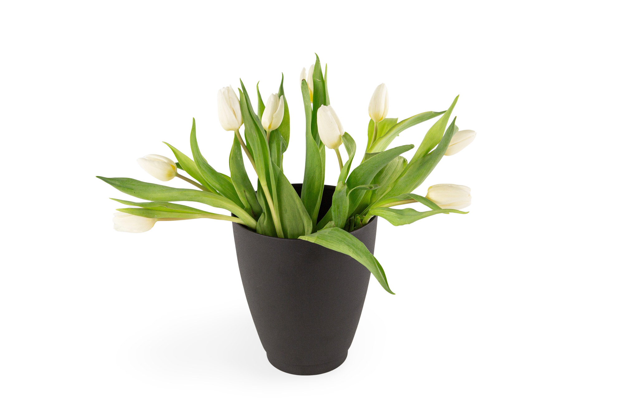 Trautesheim® Metall Blumentopf OPAL schwarz, zwei Größen oder als Set